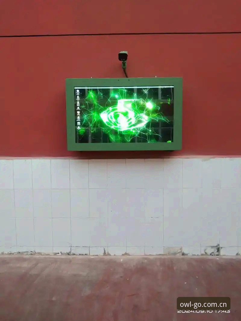 猫头鹰体育手机版全面评测：从数据查询到直播流畅度的深度体验报告