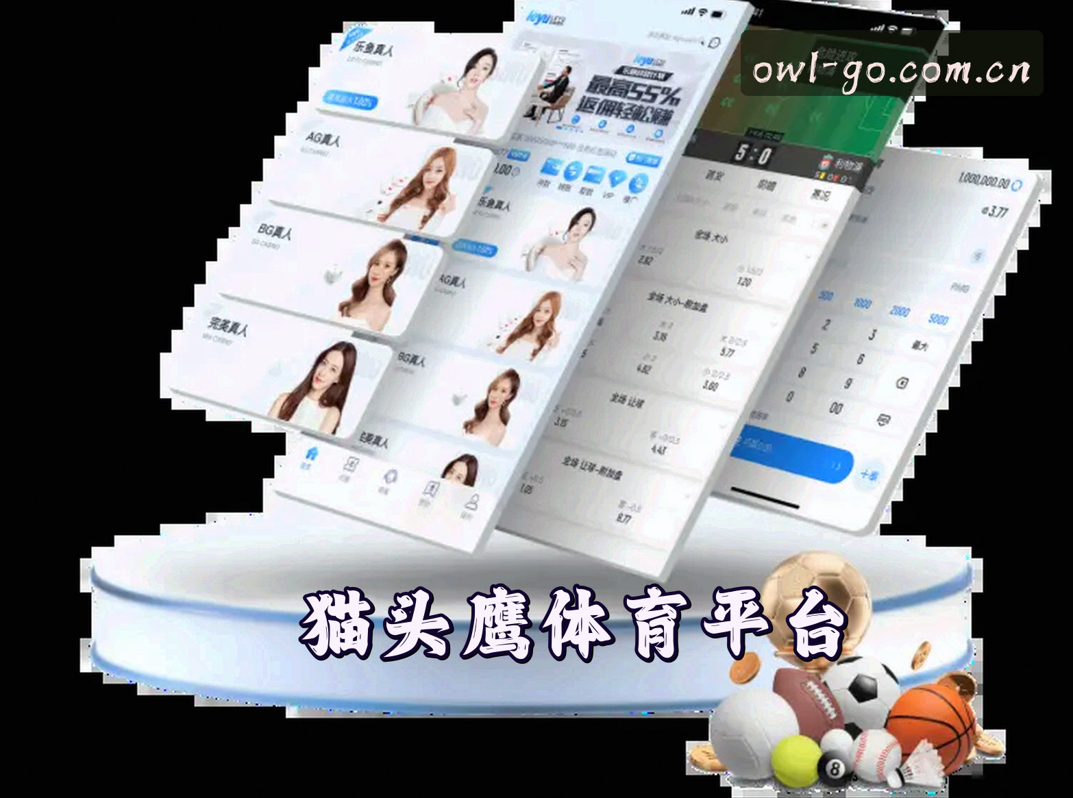 关于我们